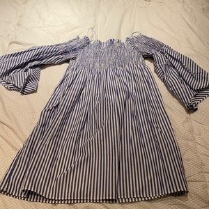 Zara Pinstriped Mini Dress